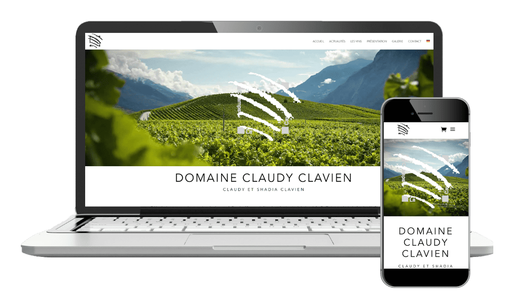 Creation de boutiques en ligne, e-commerce en valais.